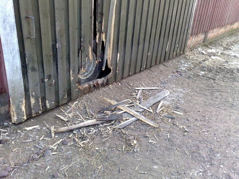 04012009339.jpg
