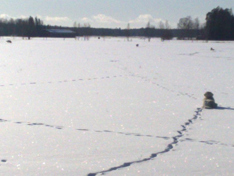 28022009524.jpg