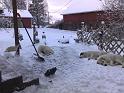 23012009460